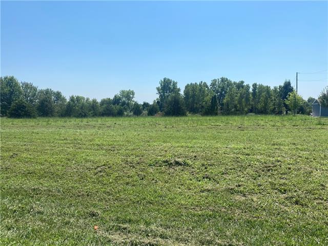 4461 W 239 Street, Louisburg, KS 66053