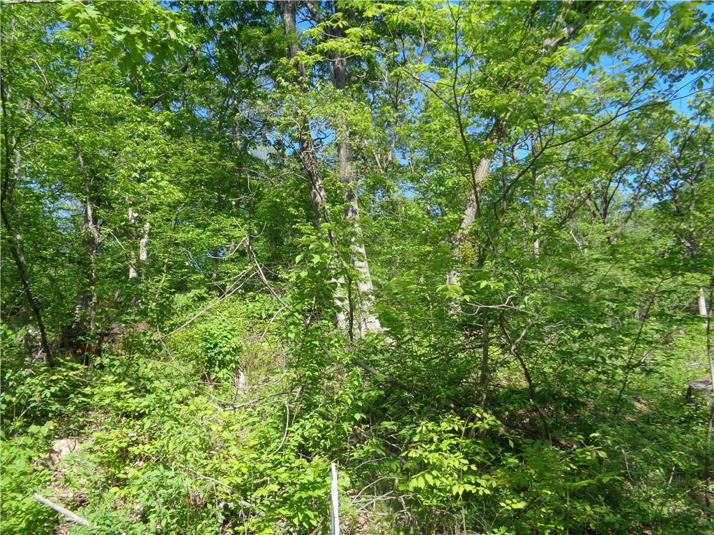 Lot 98 Keli Drive, Excelsior Springs, MO 64024