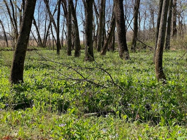 34813 S Dorsett Hill Road, Archie, MO 64725
