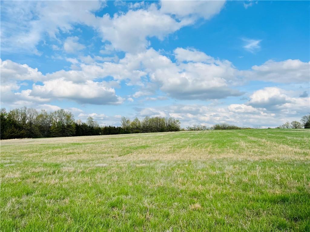 TBD NW 1401ST Road, Holden, MO 64060