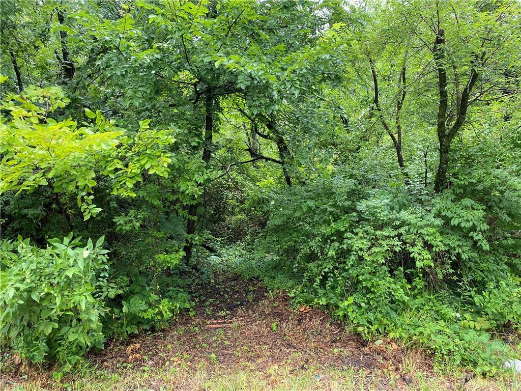 1204 N Lyne Street, Raymore, MO 64083