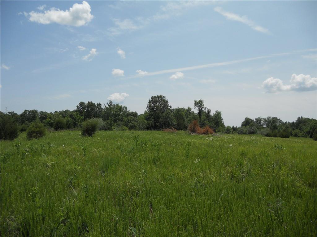 39 P Highway, Salisbury, MO 63558