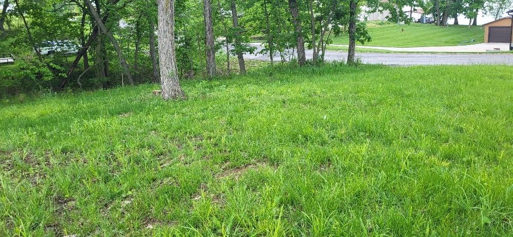 1193 Lake Viking Terrace, Gallatin, MO 64640