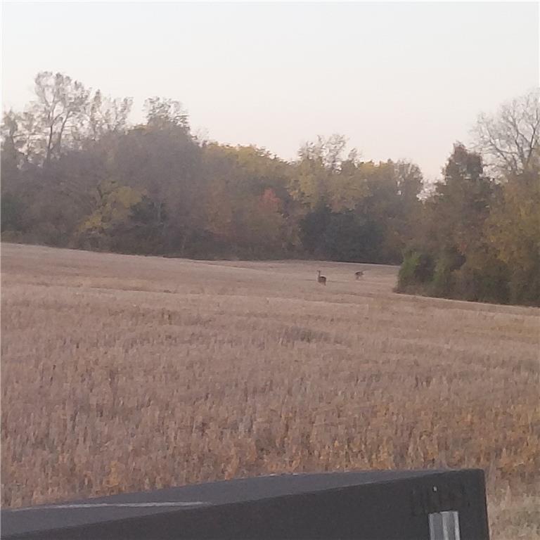 4-acres E 315th Street, Drexel, MO 64742