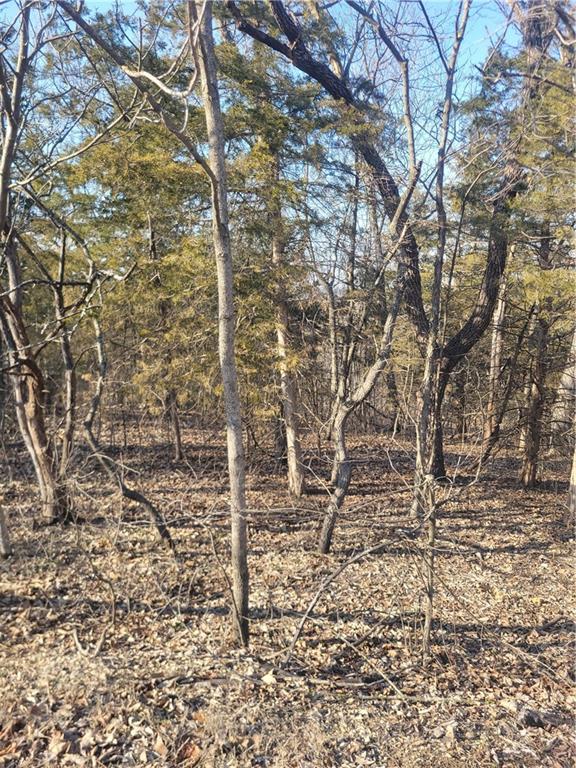 33 E Ridgewood Circle, Linn Valley, KS 66040