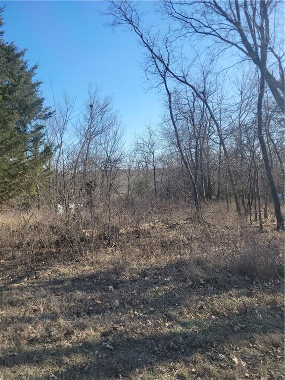 98 Maple Drive, Linn Valley, KS 66040