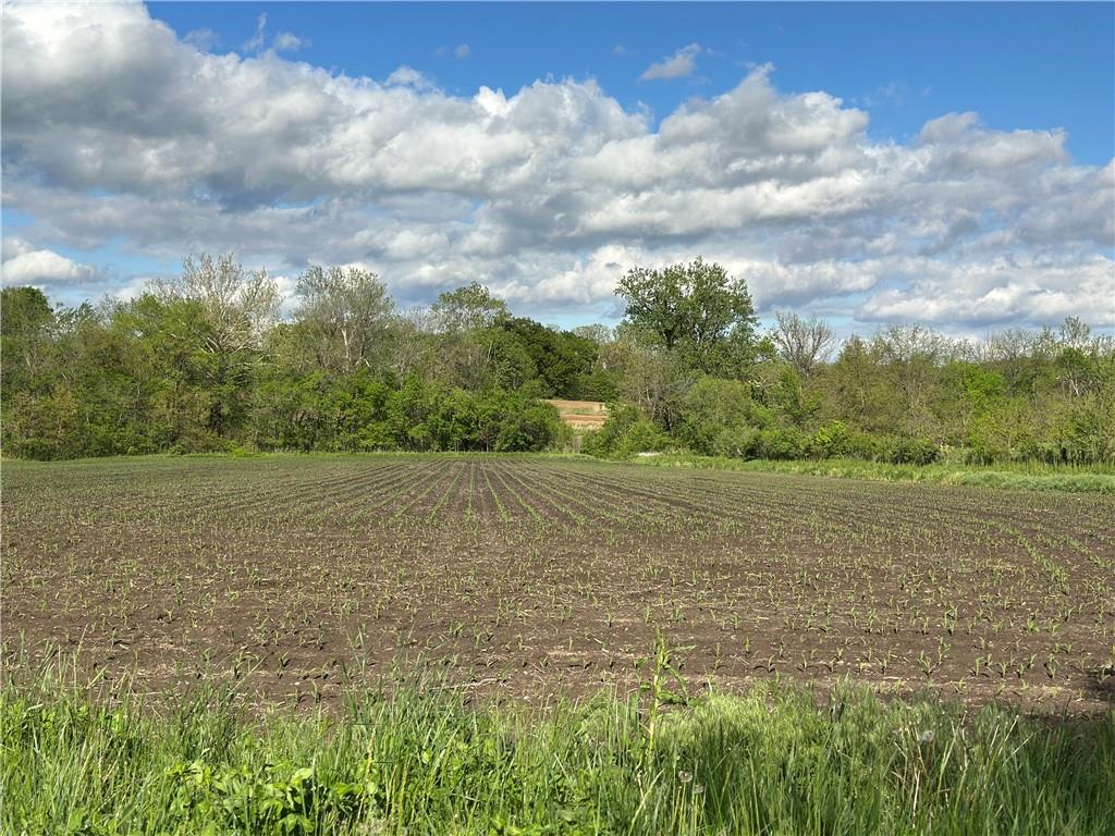 Tract 1 Albany Road, Orrick, MO 64077
