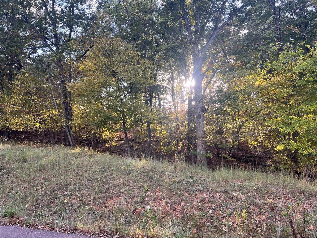 8,9,12 &SW 1/4 Red Hollow Road, Gravois Mills, MO 65037