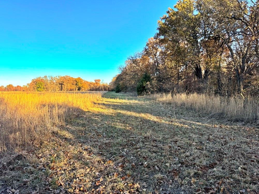 TBD S 525 Road, El Dorado Springs, MO 64744