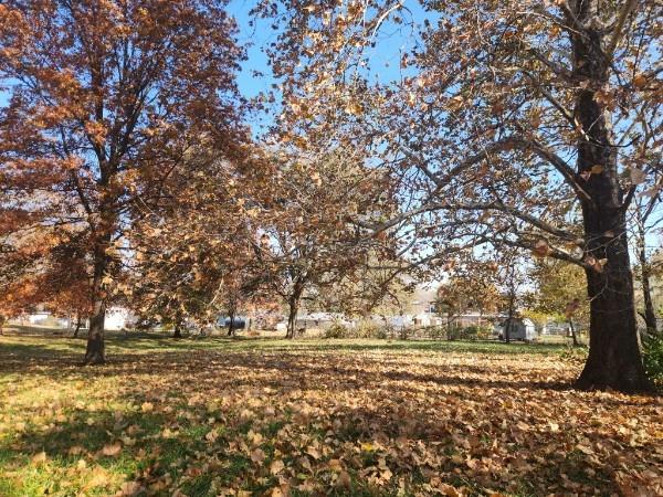 710 W Mason Street, Odessa, MO 64076