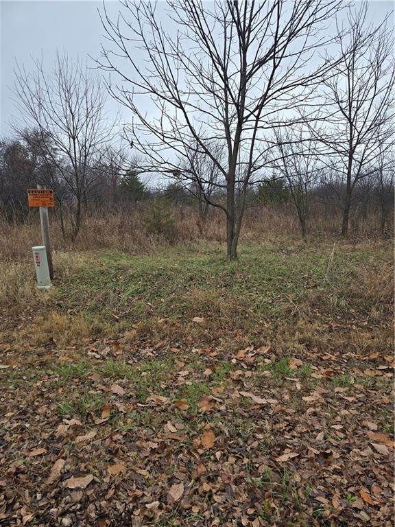 125 Woodcut Drive, Linn Valley, KS 66040