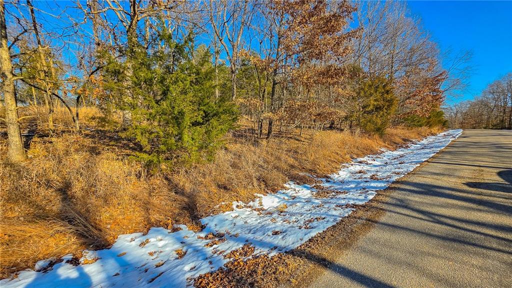 Lot #1356 Champion Drive, Sunrise Beach, MO 65079