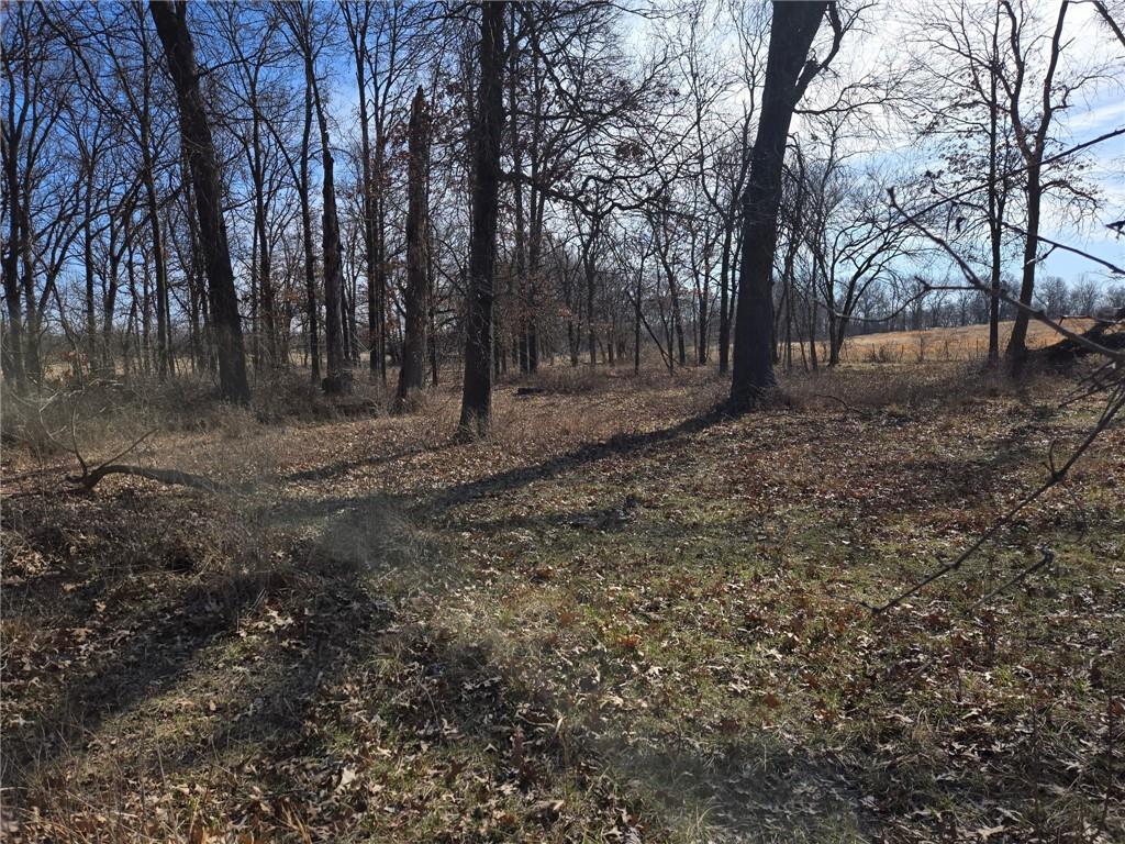 Tract B NW County Rd 17402 N/A, Archie, MO 64725