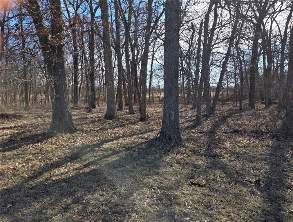 Tract C NW County Road 17402 N/A, Archie, MO 64725