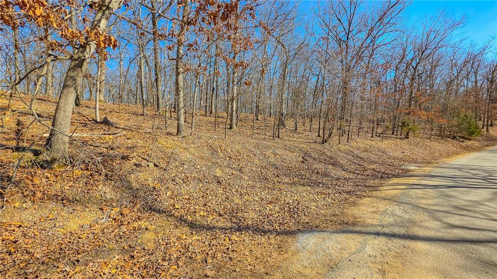 Lot #450 Grand View Drive, Sunrise Beach, MO 65079