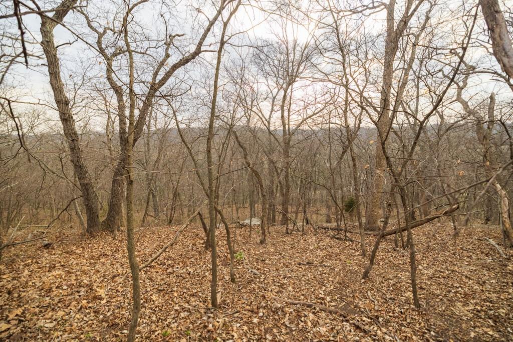 TBD Rattlesnake Road, Cowgill, MO 64637