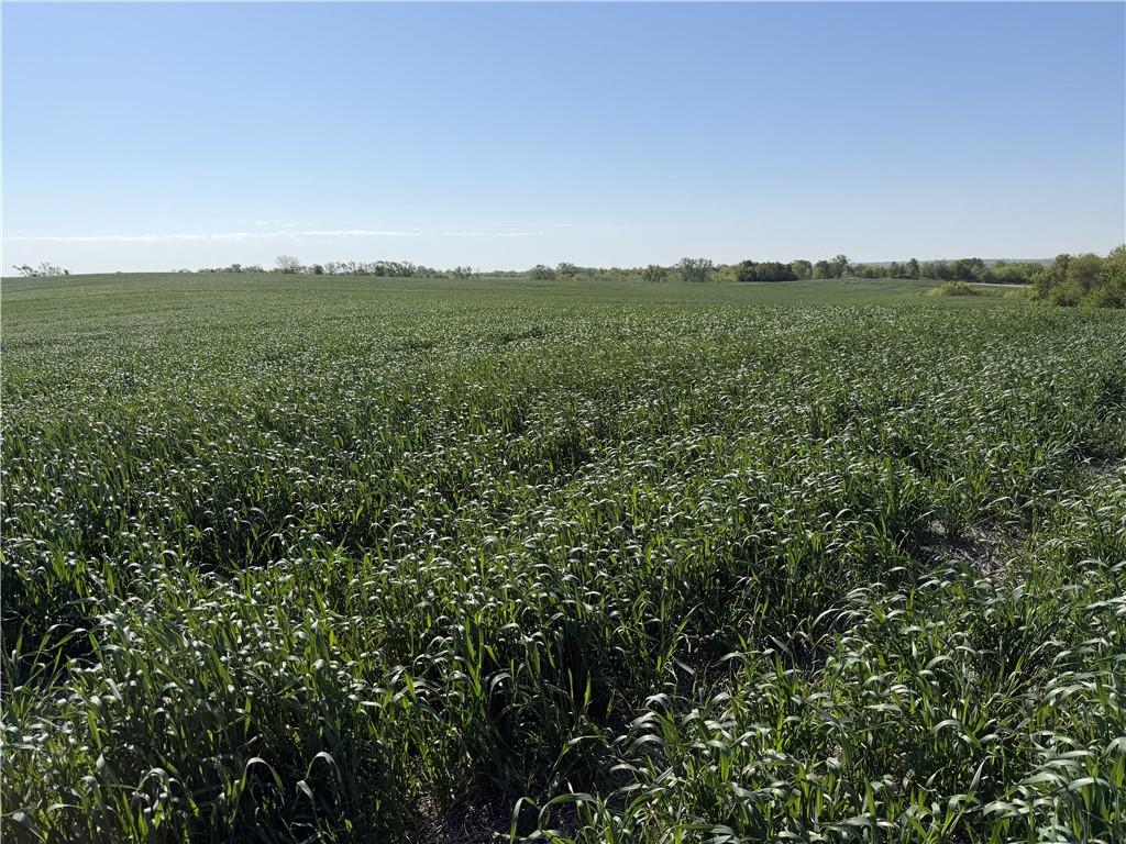 TBD H Highway, Darlington, MO 64438