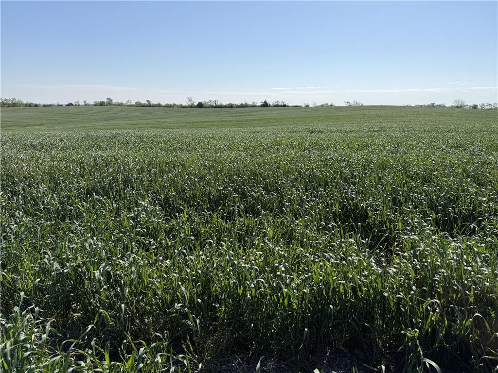 TBD #3 H Highway, Darlington, MO 64438