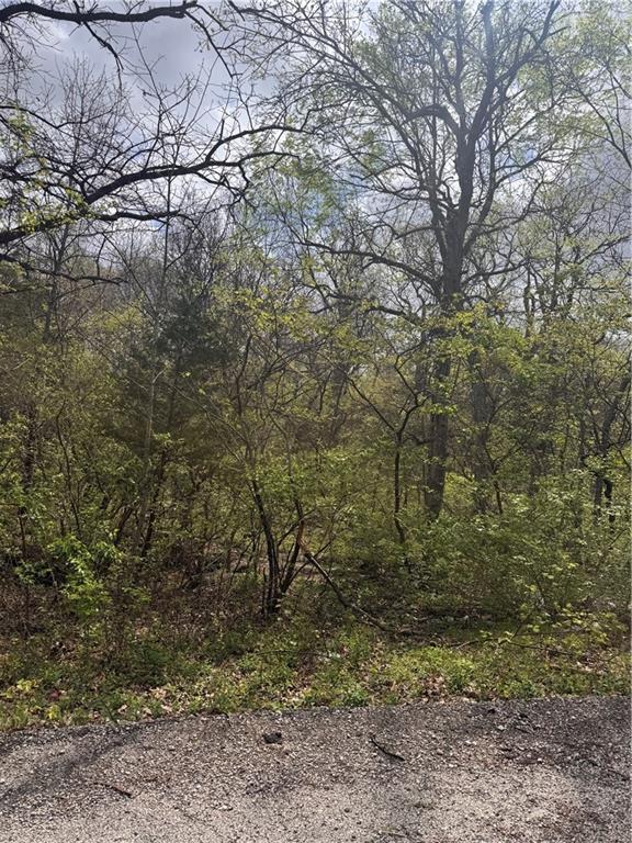 Lot 73 - 76 Green Forest Way, Oak Grove, MO 64075