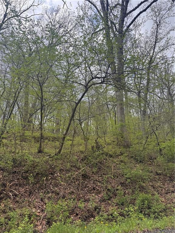 Lot 47-48 Park Lane, Oak Grove, MO 64075