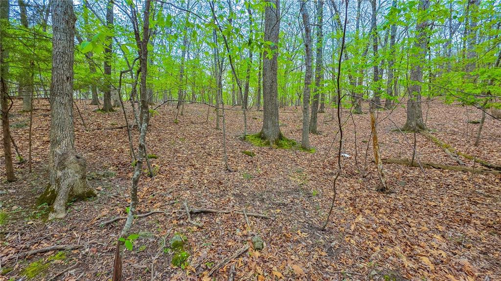 Lot #499 Grand View Drive, Sunrise Beach, MO 65079