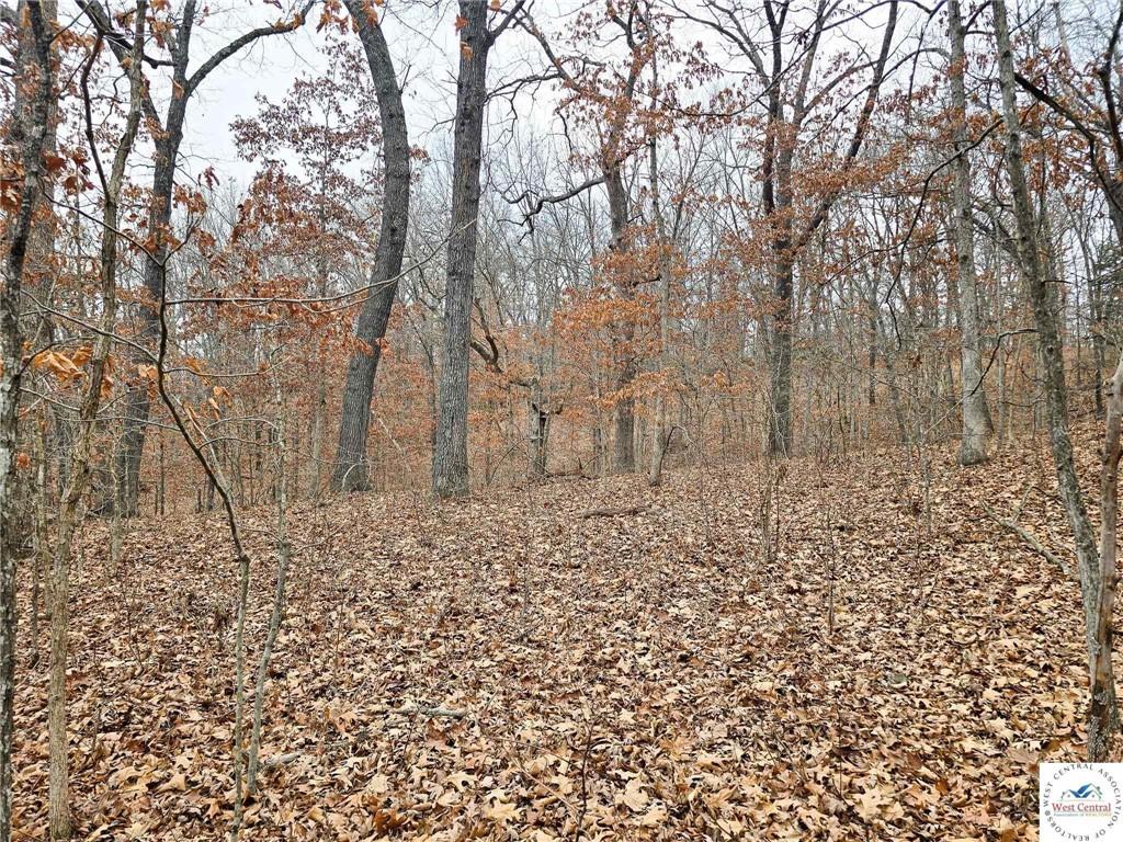 80 +/- Acres Proctor Lane, Gravois Mills, MO 65037