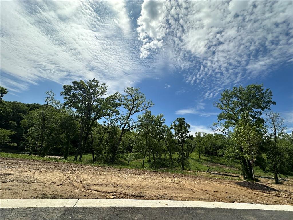 Lot 19 Copper Hill Drive, Parkville, MO 64152