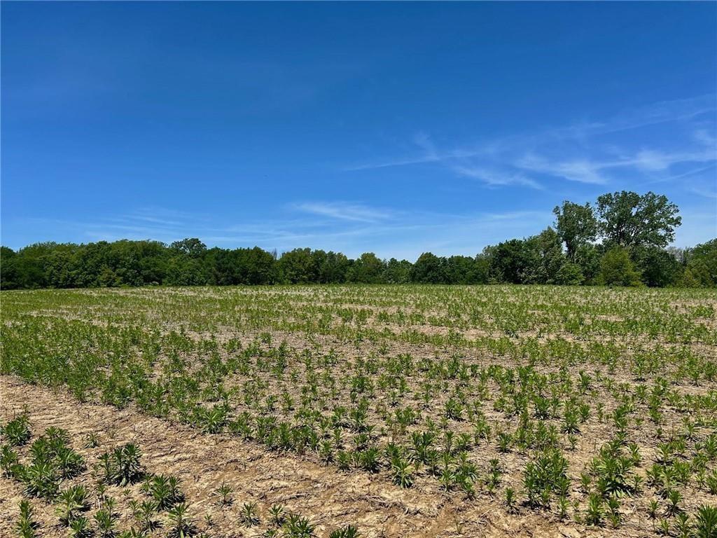 34914 E Colbern Road, Lone Jack, MO 64070