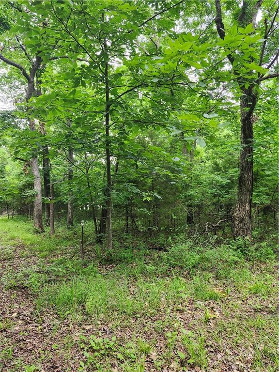 35 Mystic Valley Drive, Linn Valley, KS 66040