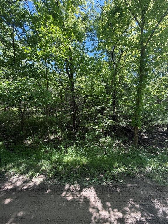 10 Scenic Lane, Linn Valley, KS 66040