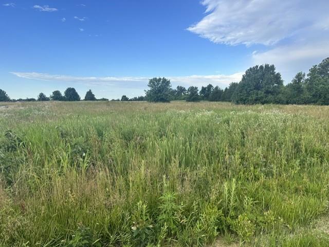 17XXX S 1244 Road, Nevada, MO 64772