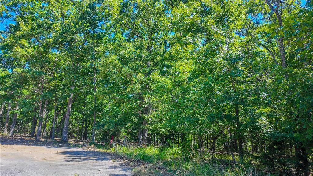 Lot #1318 Champion Court, Sunrise Beach, MO 65079