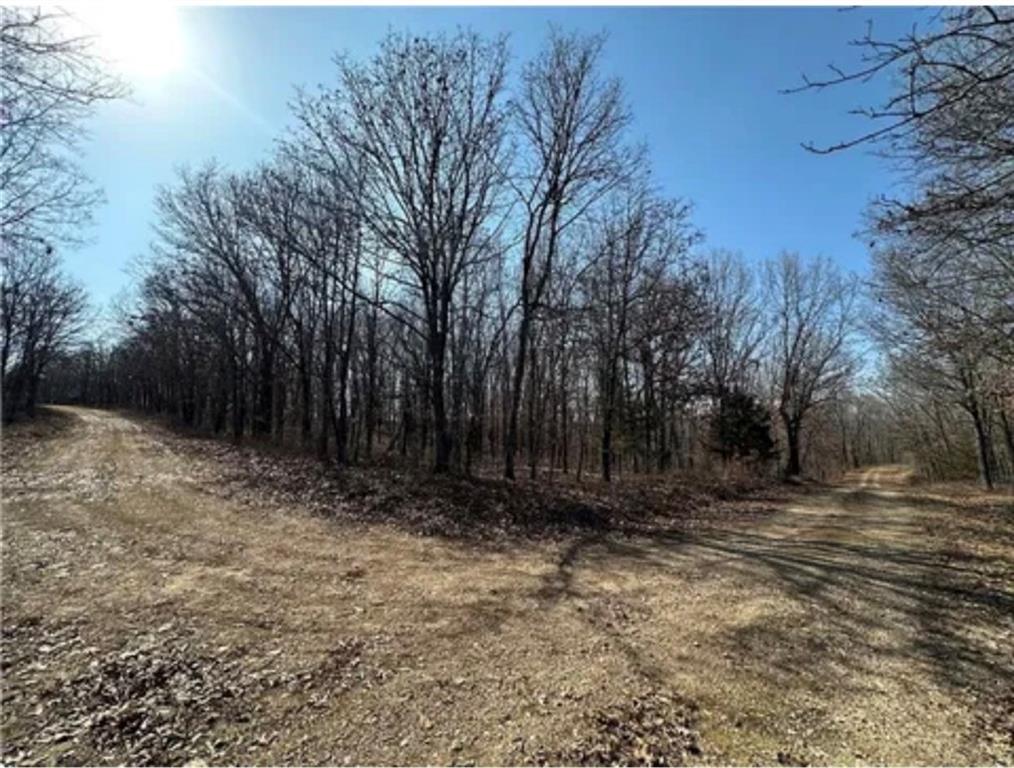 LOTS 3155,3156,3101 Rolfs Place, Edwards, MO 65326