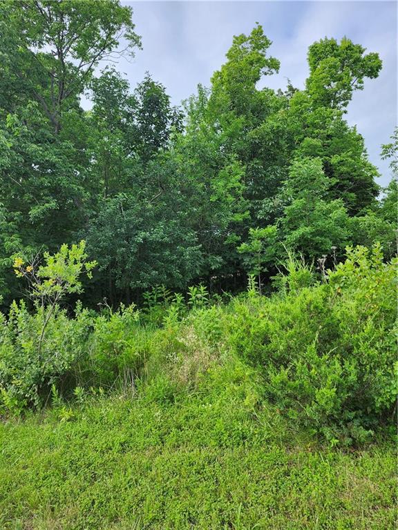 9 E Ridgewood Circle, Linn Valley, KS 66040