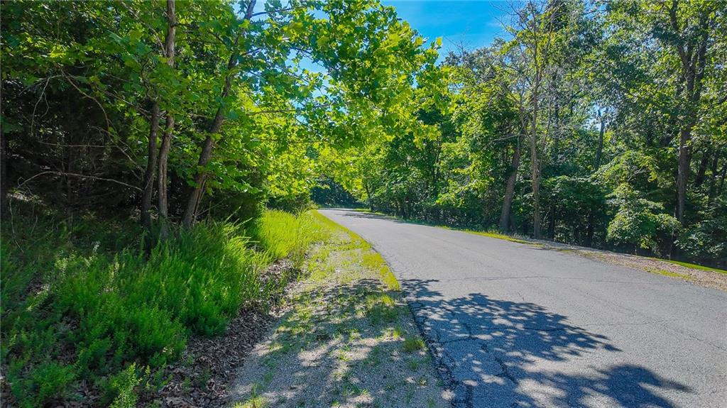 Lot #251 Grand Cove Road, Sunrise Beach, MO 65079