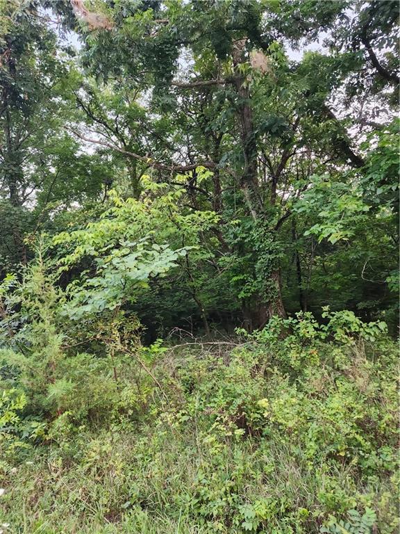 166 Sycamore Drive, Linn Valley, KS 66040