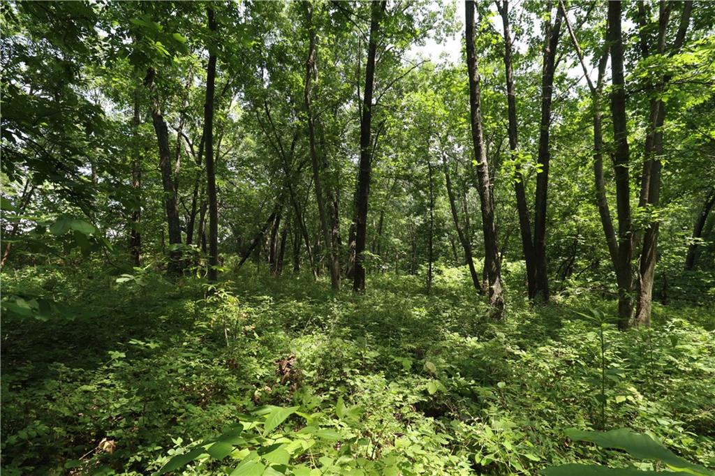 36 E 1200th Road, Baldwin City, KS 66006