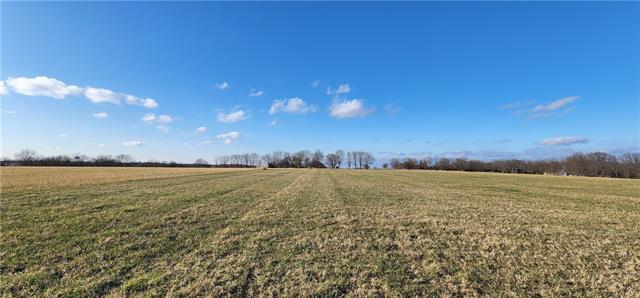 Kelly Kelly Road, Grandview, MO 64030
