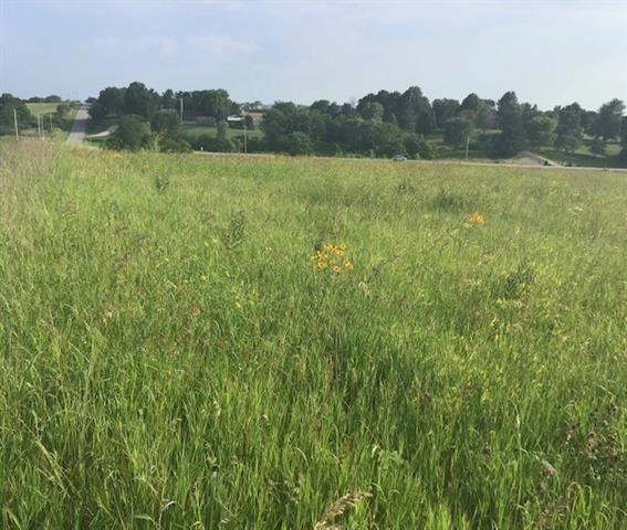 15215 State Route E Lot 1A N/A, Savannah, MO 64485
